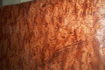 Bubinga veneer 10 @ 16'' x 38'' 42SF [0871]