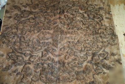 Walnut burl veneer 9 @ 12'' x 13'' [0869]